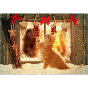Koberec Vitaus Christmas Period Playful Cat, 50 x 80 cm