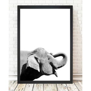 Plakát 24x29 cm Damarion Elephant – Tablo Center