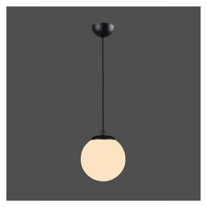 Černé závěsné svítidlo Squid Lighting Efe, výška 120 cm