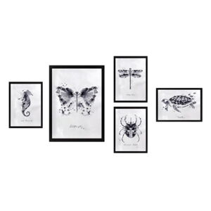 Obrazy v sadě 5 ks 34x44 cm Butterfly – Wallity