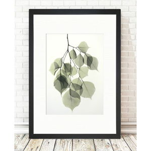 Obraz Tablo Center Tender Leaves, 24 x 29 cm