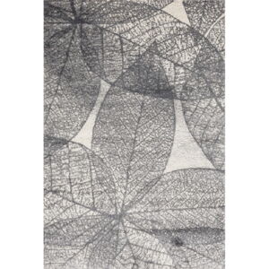 Šedý koberec 100x170 cm Lush – FD