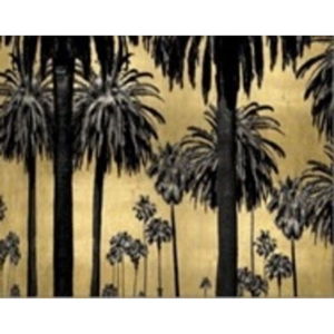 Zasklený obraz Kare Design Palms, 120 x 80 cm