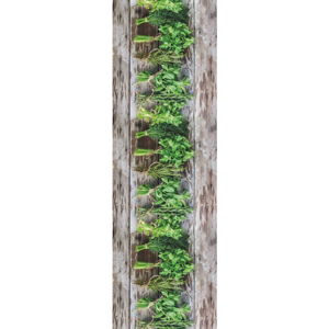 Vysoce odolný běhoun Webtappeti Aromatica, 58 x 280 cm