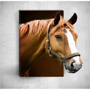 Nástěnný 3D obraz Mosticx Horse, 40 x 60 cm