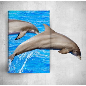 Nástěnný 3D obraz Mosticx Dolphins, 40 x 60 cm