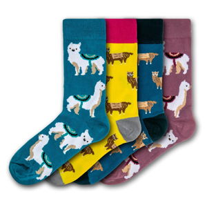 Sada 4 párů barevných ponožek Funky Steps Llamas, velikost 35 - 39 a 41 - 45