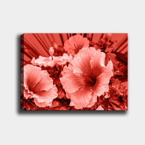 Nástěnný obraz na plátně Tablo Center Poppies, 40 x 60 cm