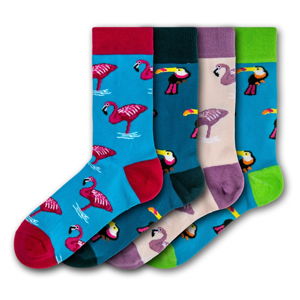 Sada 4 párů barevných ponožek Funky Steps Flamingos and Toucas, velikost 35 - 39 a 41 - 45