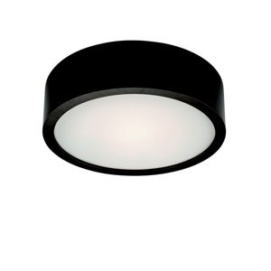 Černé kruhové stropní svítodlo LAMKUR Plafond, ø 27 cm
