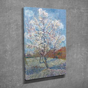 Nástěnný obraz na plátně Blossom, 30 x 40 cm