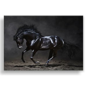 Obraz Styler Canvas Silver Uno Horse, 85 x 113 cm