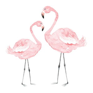 Nástěnná samolepka Dekornik Flamingos, 55 x 55 cm