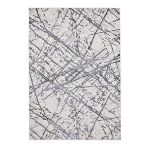 Světle šedý koberec 160x230 cm Artemis – Think Rugs