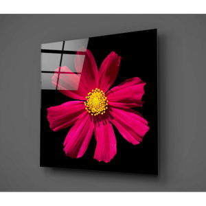 Černo-červený skleněný obraz Insigne Flowerina, 30 x 30 cm